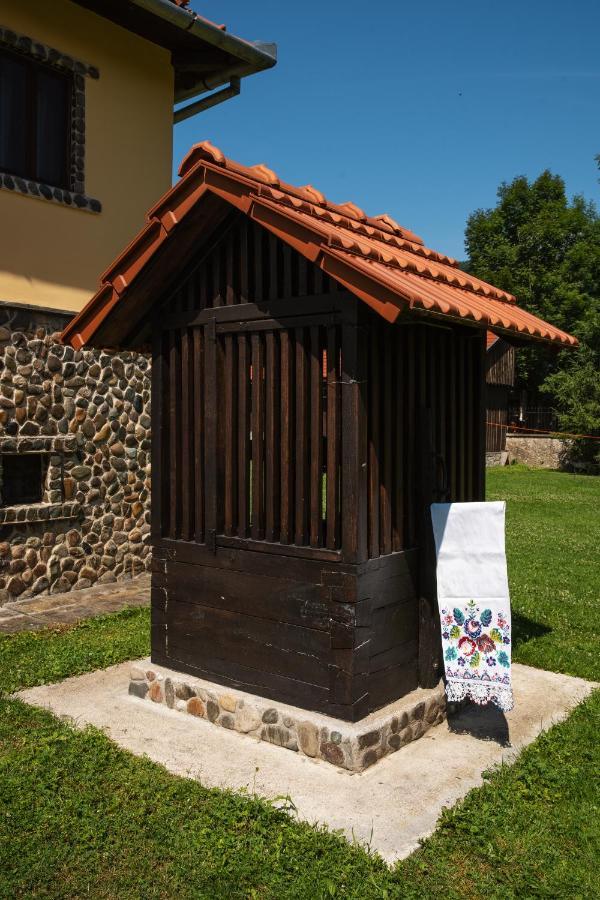 Villa Gherman Sălciua de Jos المظهر الخارجي الصورة