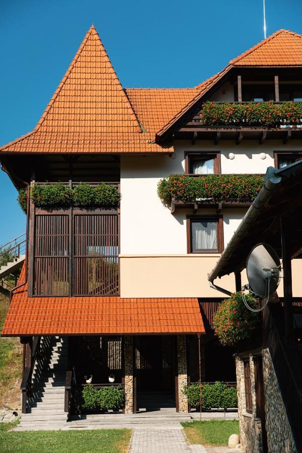 Villa Gherman Sălciua de Jos المظهر الخارجي الصورة