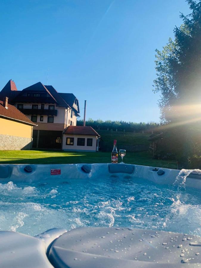 Villa Gherman Sălciua de Jos المظهر الخارجي الصورة